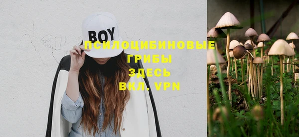 прущие крисы Нижний Тагил